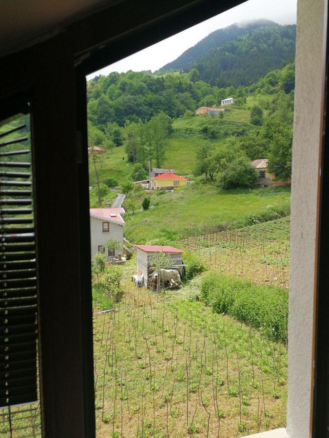 Hamsikoy Hotel Buitenkant foto